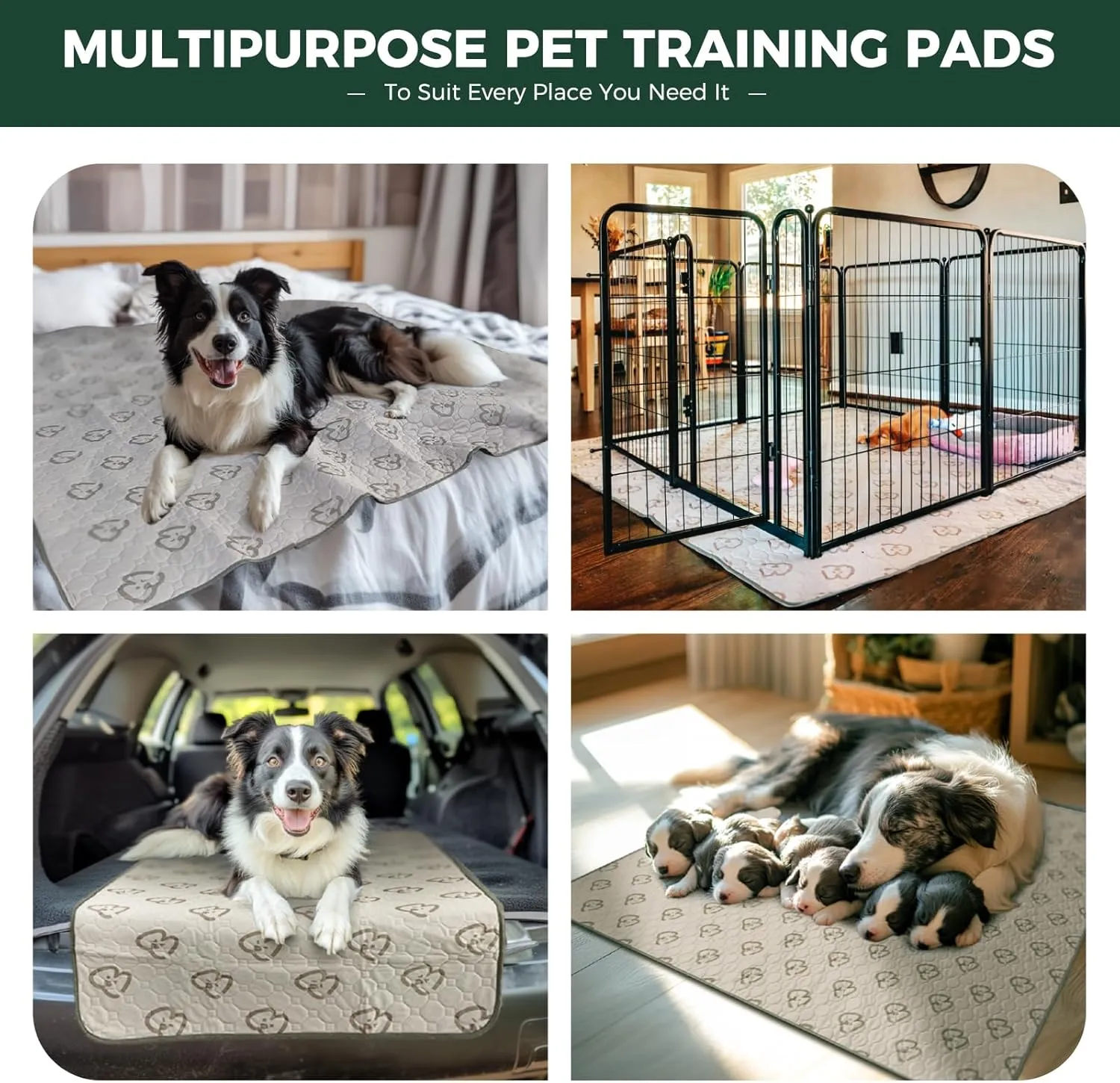 FXW Washable Pee Pads for Dogs, Puppy Pads with Super Absorbent, Specifically Designed for 48inch Cages, Rectangle, 47" x 29", 1 Pack