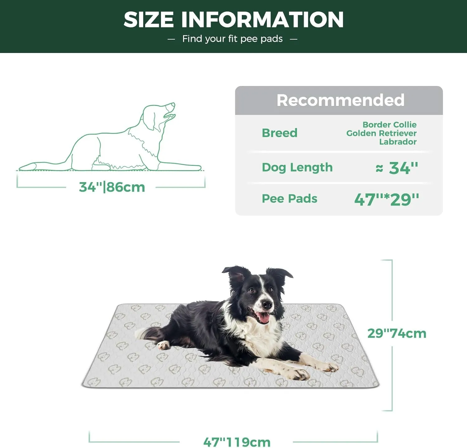 FXW Washable Pee Pads for Dogs, Puppy Pads with Super Absorbent, Specifically Designed for 48inch Cages, Rectangle, 47" x 29", 1 Pack
