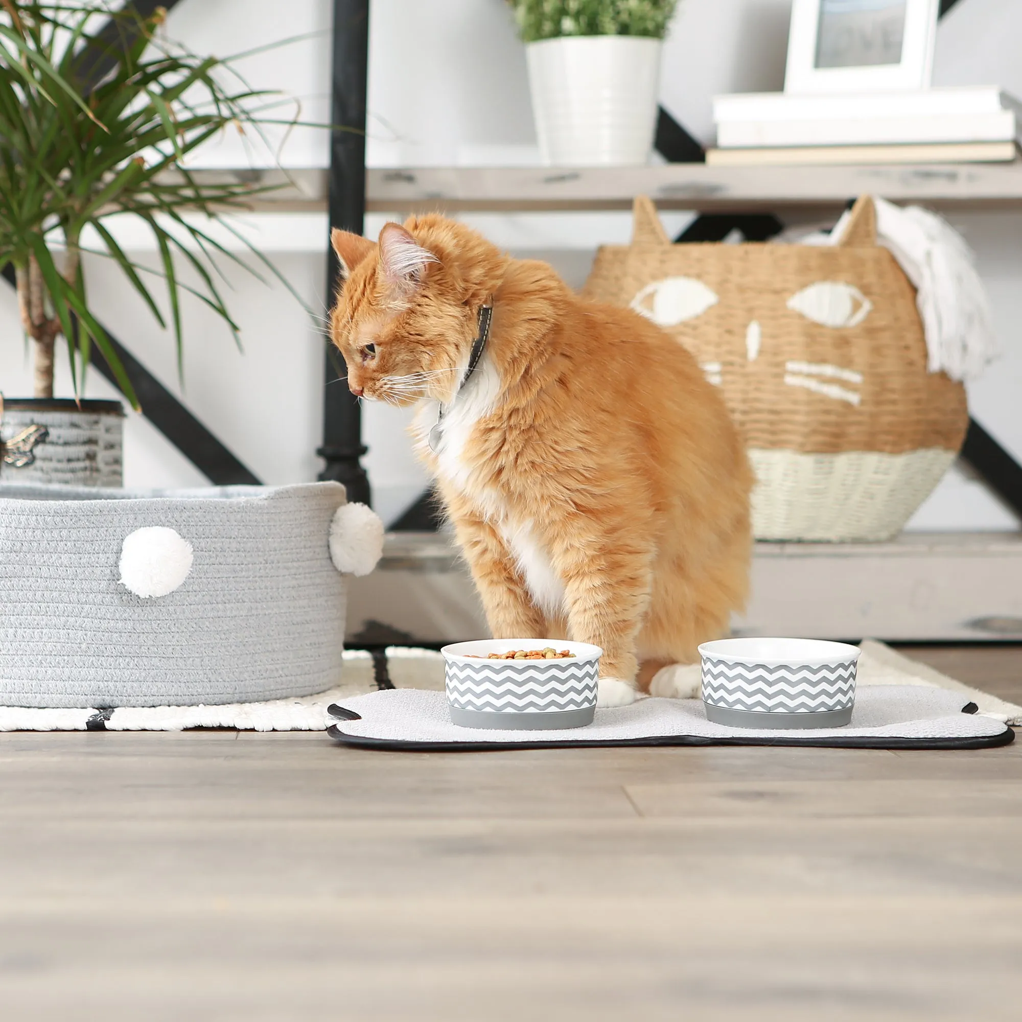 Gray Chevron Pet Bowl Set of 2, Small - 3/4 C Capacity