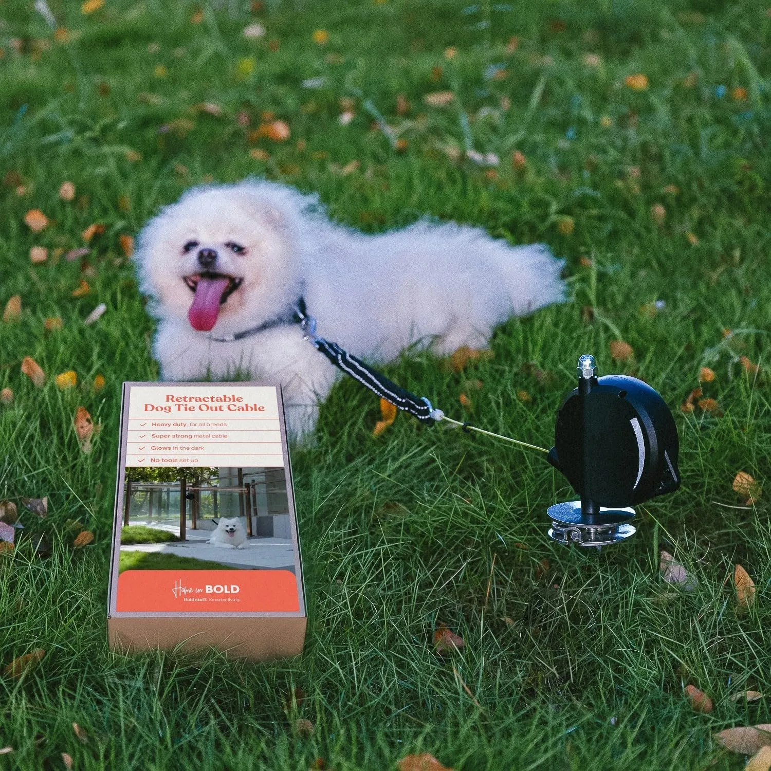 Heavy-Duty Retractable Dog Tie Out Cable: The Ultimate Dog Line for Outside  Super Strong Tie Out Retractable Cable for Dogs.
