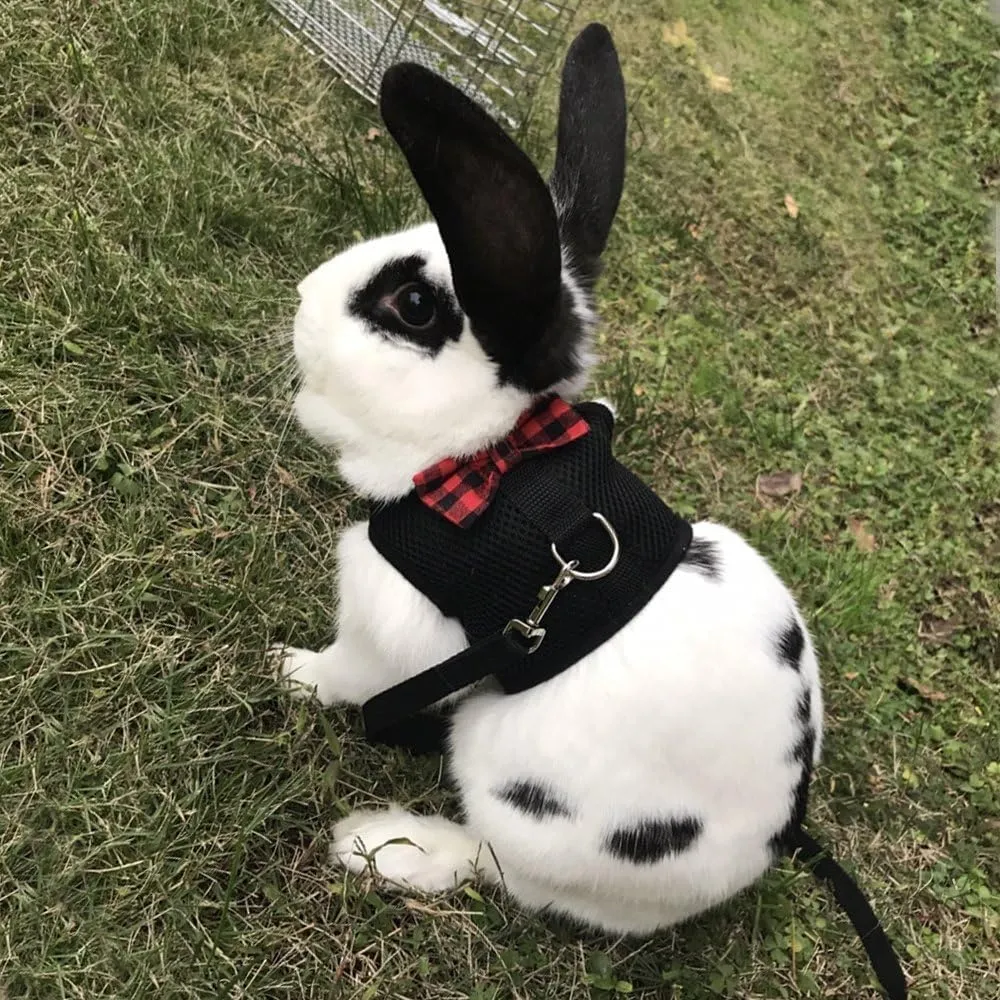 Hypeety Bunny Kitten Harness No Pull Cat Leash Stylish Vest Harness for Small Animal Adjustable Soft Breathable Walking Harness Set (Black, S)
