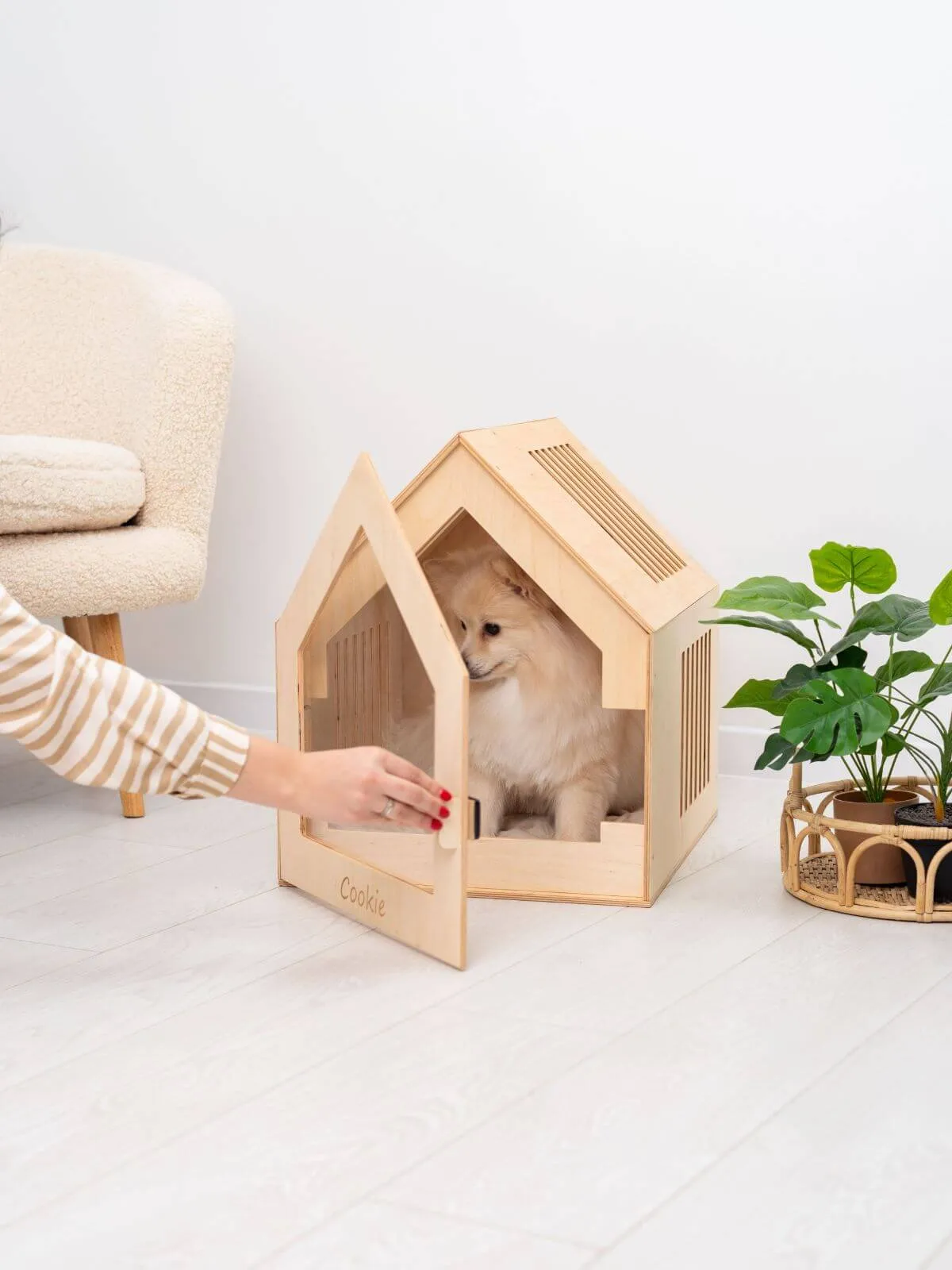 Large Indoor Dog House