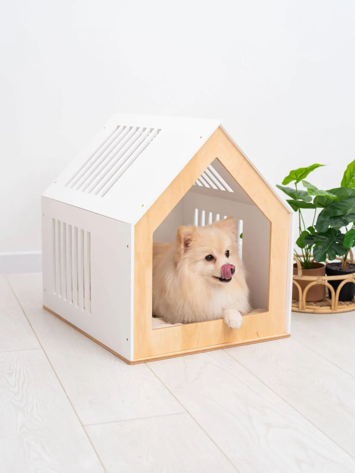 Large Indoor Dog House