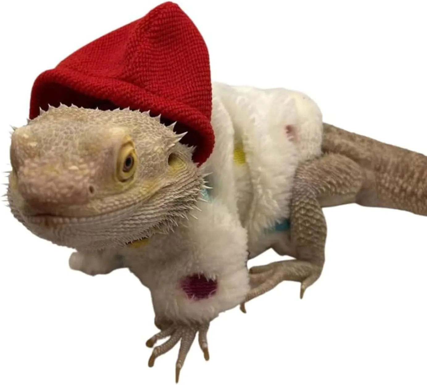 Lizards Clothes for Bearded Dragon - Handmade Cotton Hoodies Warm Sweater Coat Reptiles Apparel Costume Skin Protection Photo for Lizard Bearded Dragon Crested Gecko Chameleon (White,Large)