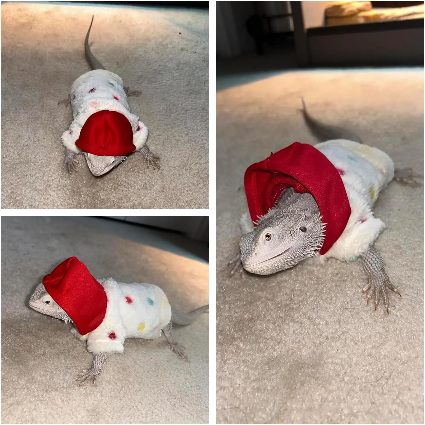 Lizards Clothes for Bearded Dragon - Handmade Cotton Hoodies Warm Sweater Coat Reptiles Apparel Costume Skin Protection Photo for Lizard Bearded Dragon Crested Gecko Chameleon (White,Large)