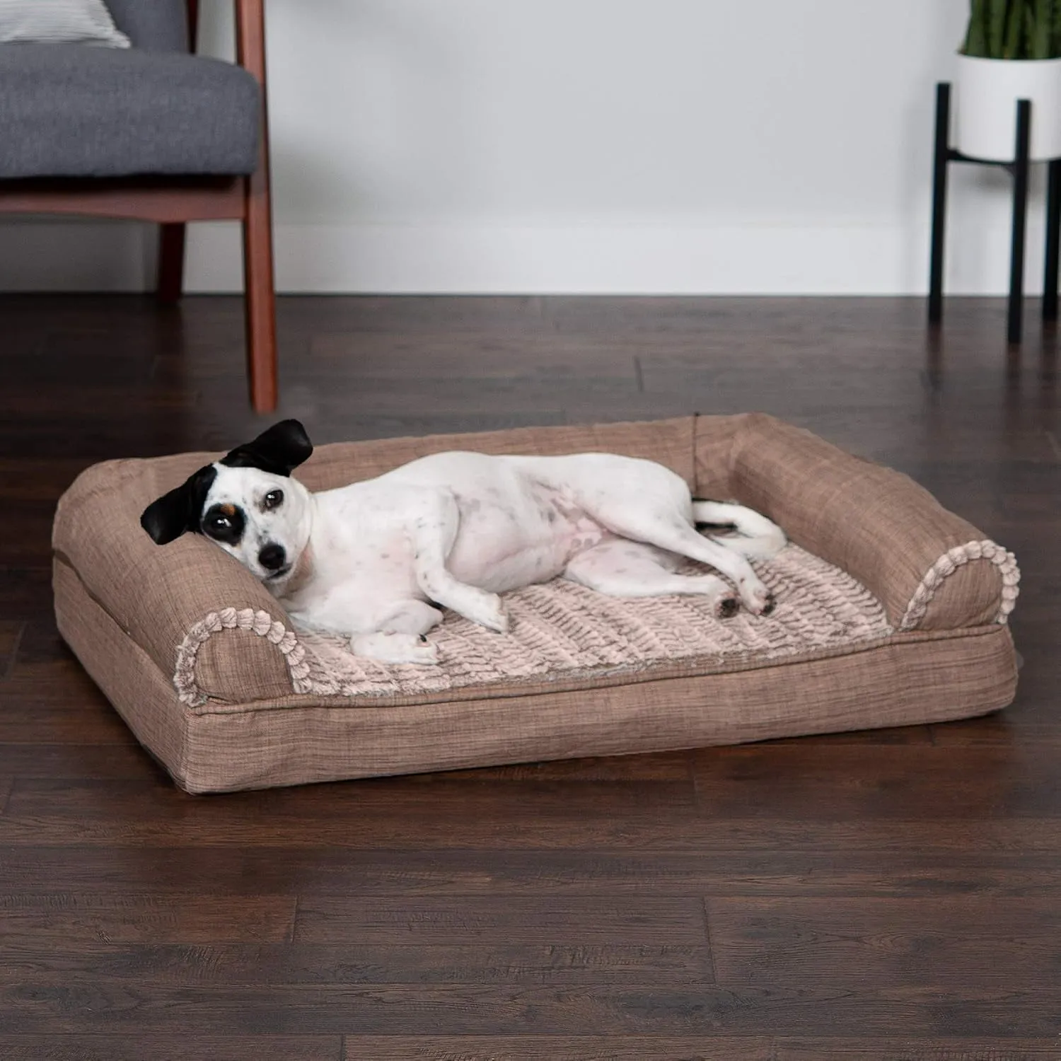 Memory Foam Dog Bed
