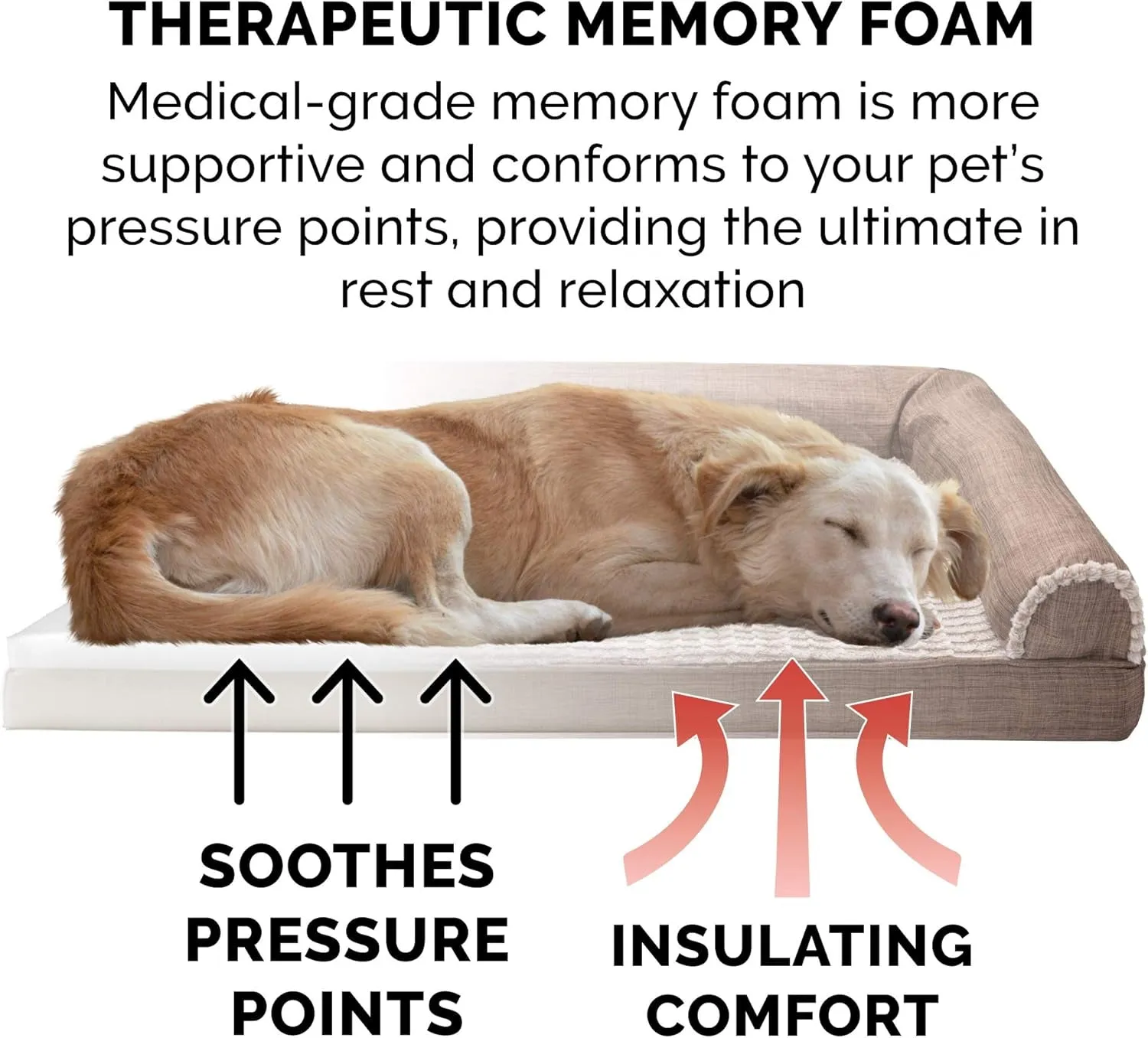 Memory Foam Dog Bed