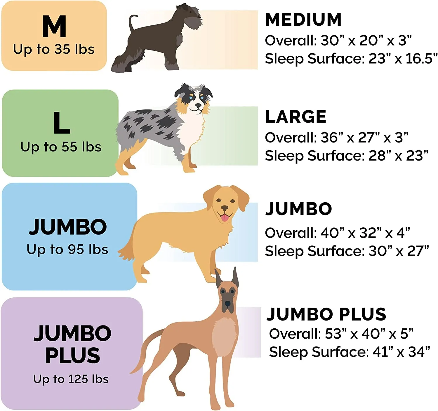 Memory Foam Dog Bed