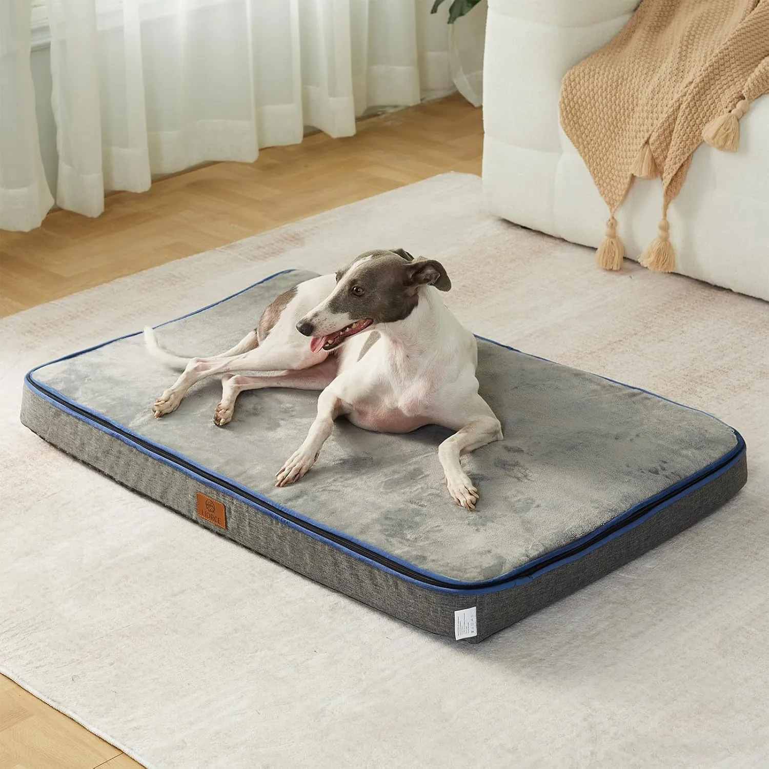 Memory Foam Large Dog Bed - 4 Thick Orthopedic Beds for Large Dogs - Waterproof Dog Bed with Removable Washable Cover & Wrap-Around Zipper - Ultimate Comfort and Easy Maintenance