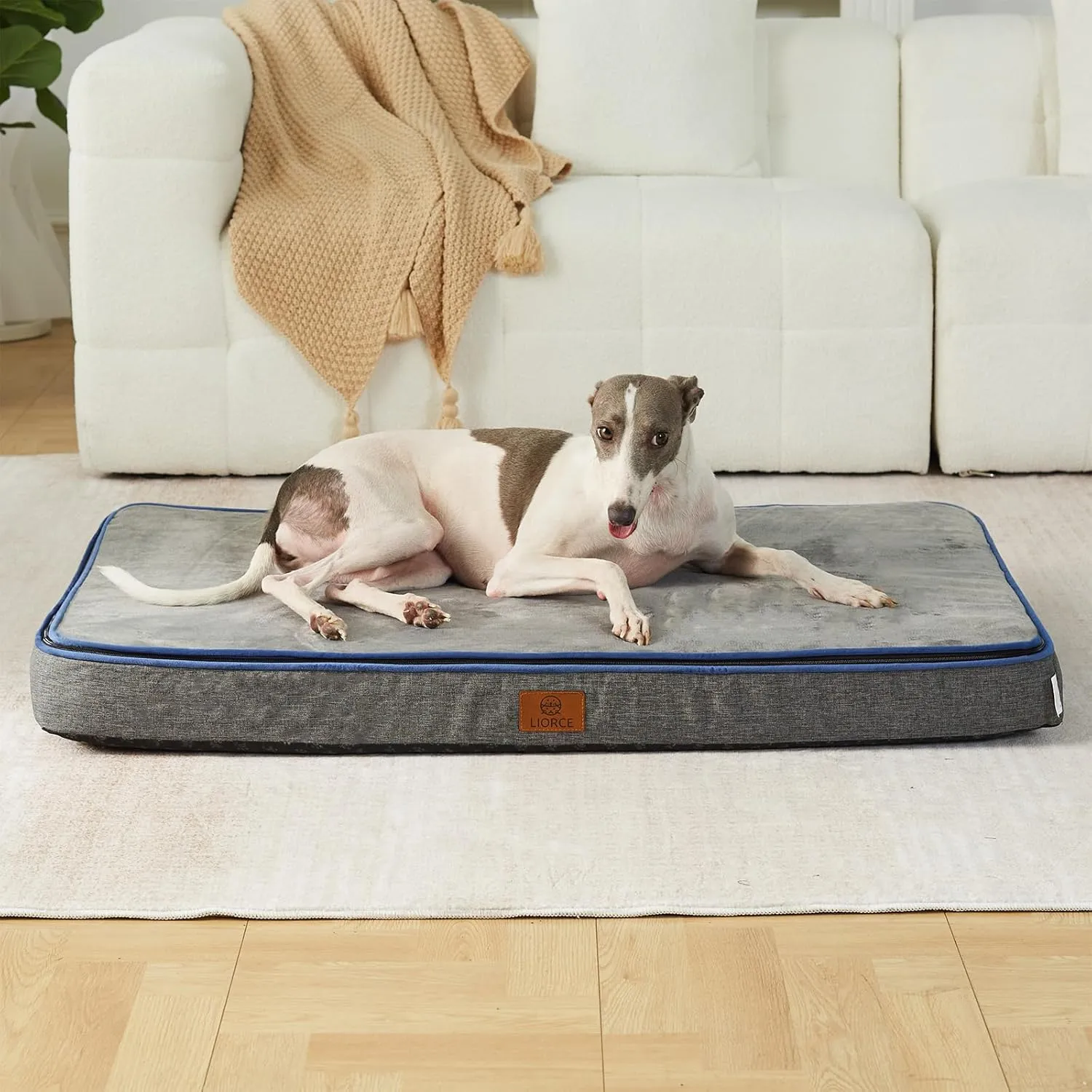 Memory Foam Large Dog Bed - 4 Thick Orthopedic Beds for Large Dogs - Waterproof Dog Bed with Removable Washable Cover & Wrap-Around Zipper - Ultimate Comfort and Easy Maintenance
