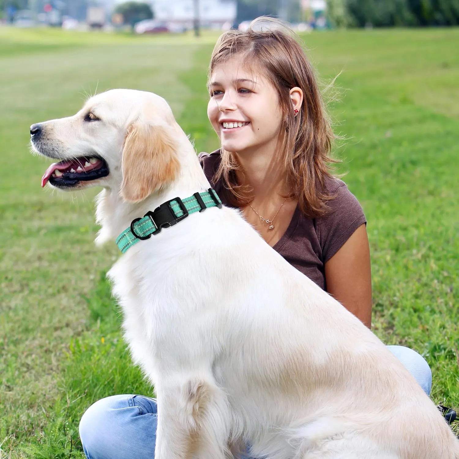 Mile High Life Nylon Night Light Glow Collar, Reflective Light Up Dog Collar, Fluorescent Self-Luminescent Strap for Small Medium Large Dogs (Green, S Neck11-15")