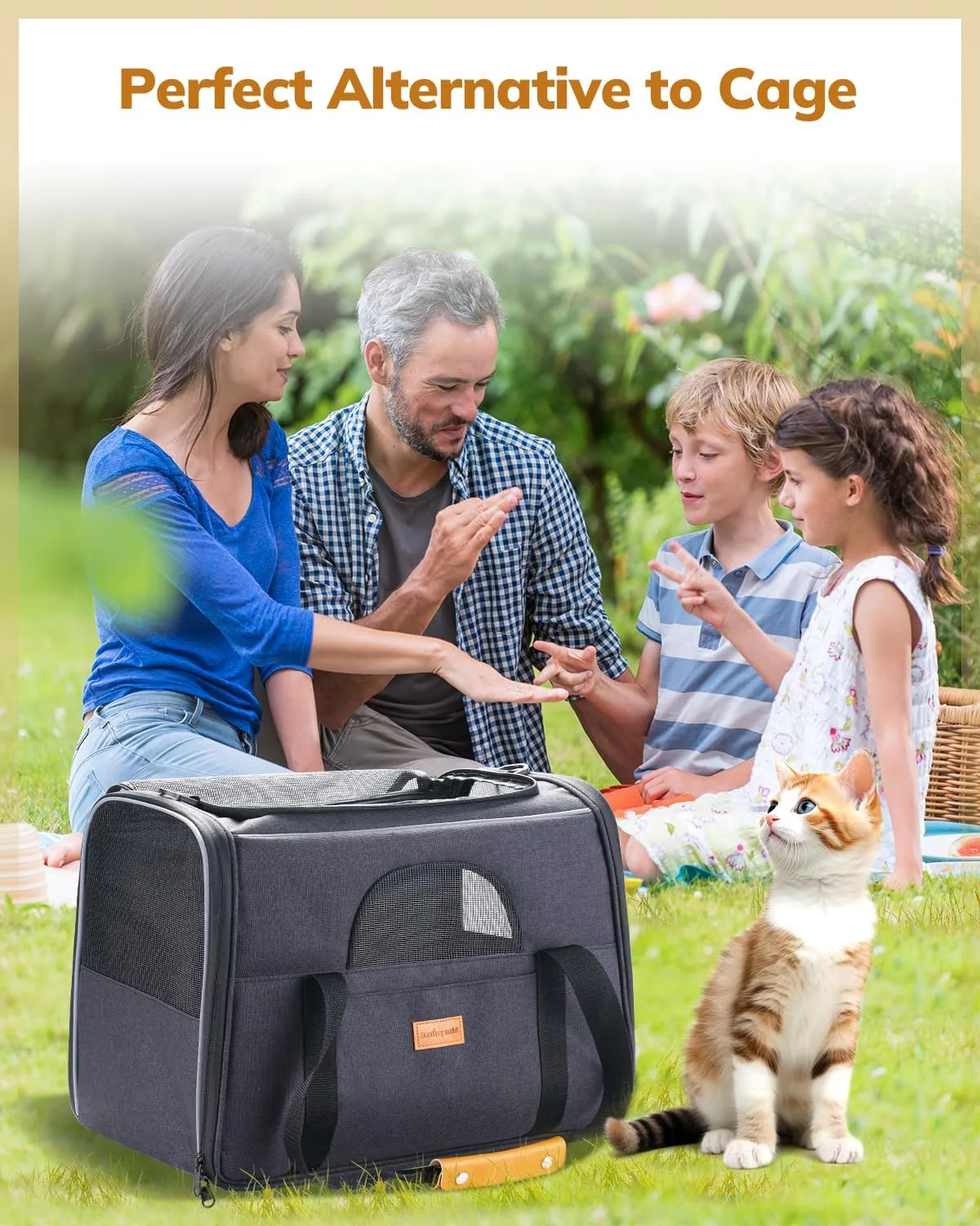 Morpilot Cat Carrier Soft - Portable Pet Carrier for Small or Medium Cats, Dogs and Puppy up to 14lbs, Airline Approved Dog Carrier with Safety Buckle and Foldable Bowl - 17 x 11 x 12 Inch (Dark Gray)