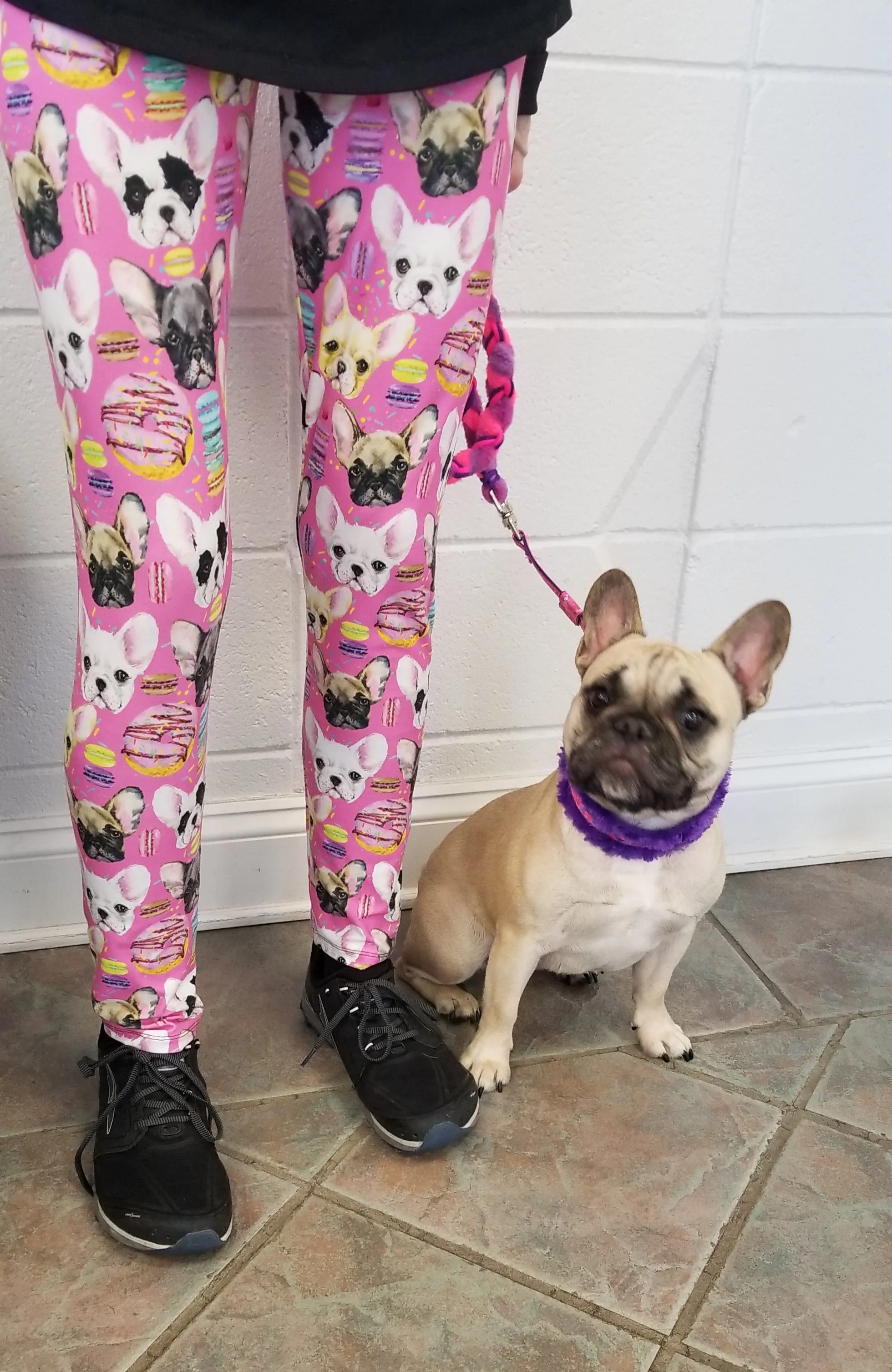 New French  Bulldog Frenchie Breed Ladies Leggings Perfect for Everything