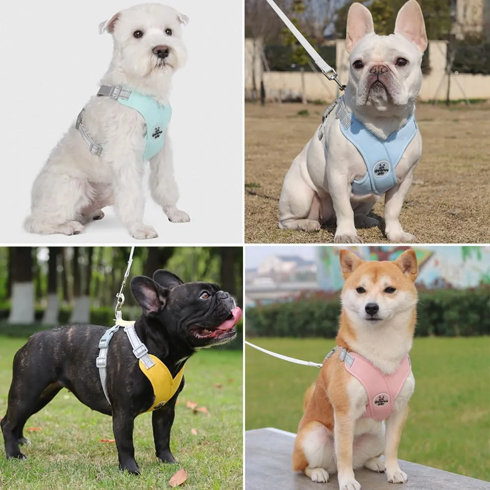No Pull Dog Harness and Leash Set for Medium Sized Dogs, Super Comfort Dog Vest Harnesses with Lead Dog Collar for Puppy Running Training 20lbs (Yellow, Medium)