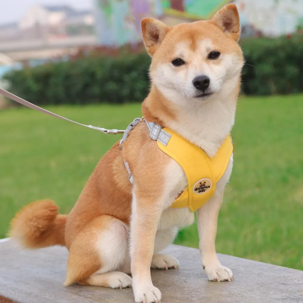 No Pull Dog Harness and Leash Set for Medium Sized Dogs, Super Comfort Dog Vest Harnesses with Lead Dog Collar for Puppy Running Training 20lbs (Yellow, Medium)
