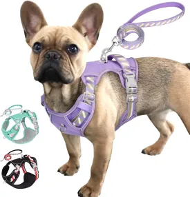 No Pull Dog Harness and Leash Set,Reflective Dog Harness with Easy Control Soft Handle,Adjustable and Comfortable for Easy Walking,Fit Small Medium Large Breed Dogs,Purple,M