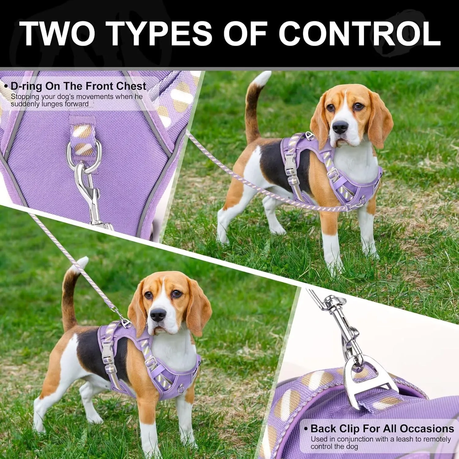 No Pull Dog Harness and Leash Set,Reflective Dog Harness with Easy Control Soft Handle,Adjustable and Comfortable for Easy Walking,Fit Small Medium Large Breed Dogs,Purple,M