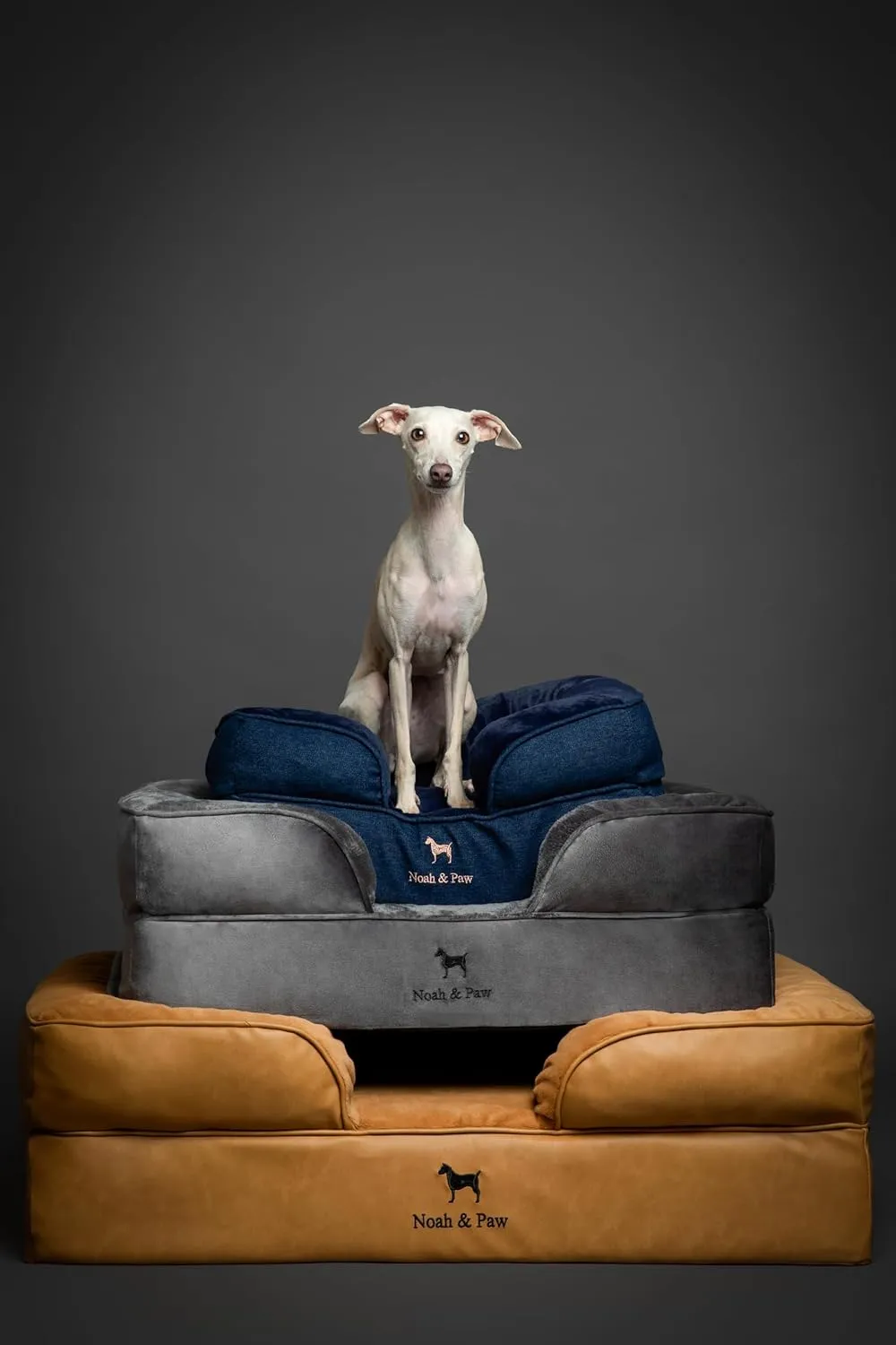 NOAH & PAW Small Dog Bed, 20x15x8 Inch, Cat Bed for Indoor Cats, Orthopedic Eggshell Memory Foam Infused with Cooling Gel, Waterproof Inner Cover Machine Washable (Velvet Collection)