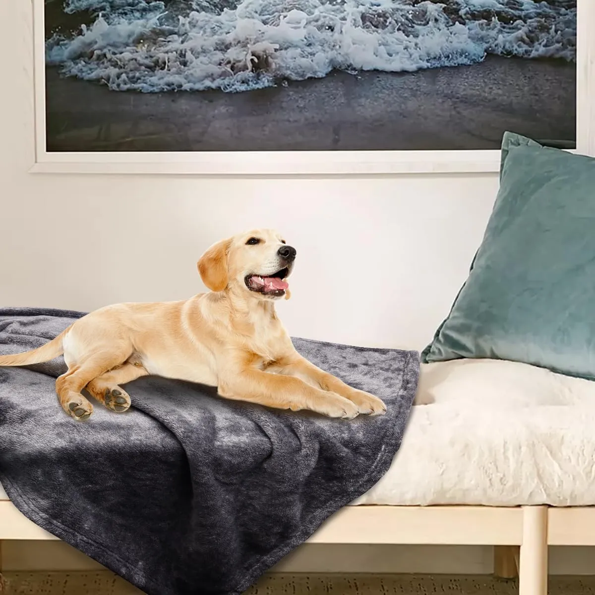 Onarway Dog Blanket Washable for Puppy: 4 Packs Dog Blankets 40x28 - Fluffy Soft Small Throw for Cat Puppy Kitten Dogs - Fleece Pet Blankets for Bed Sofa Car and Indoor - Purple