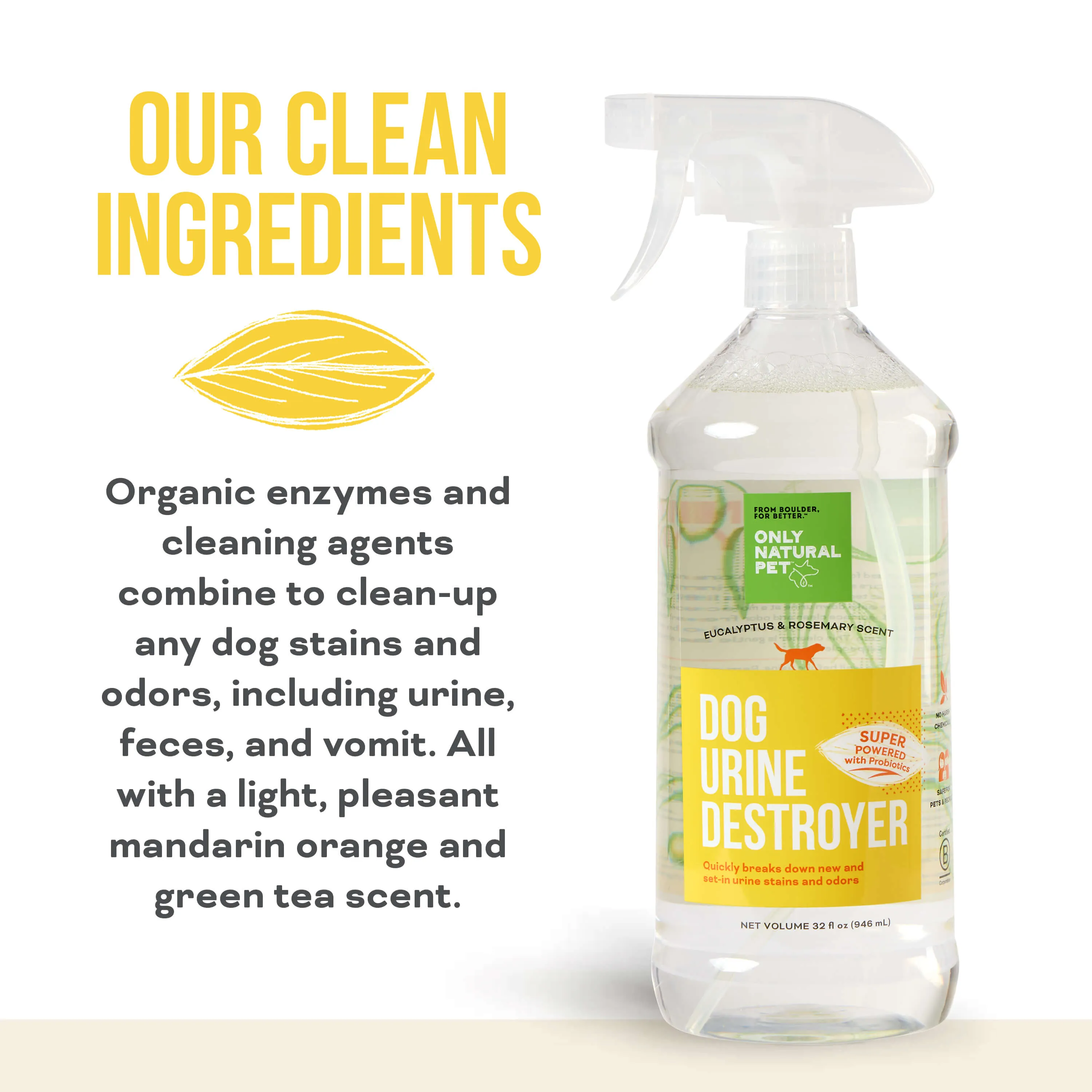 Only Natural Pet Dog Urine Stain & Odor Destroyer Probiotic Spray for Dogs 32 oz