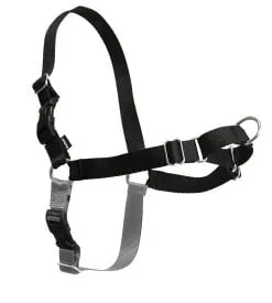Pet Safe Easy Walk Harness