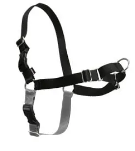 Pet Safe Easy Walk Harness