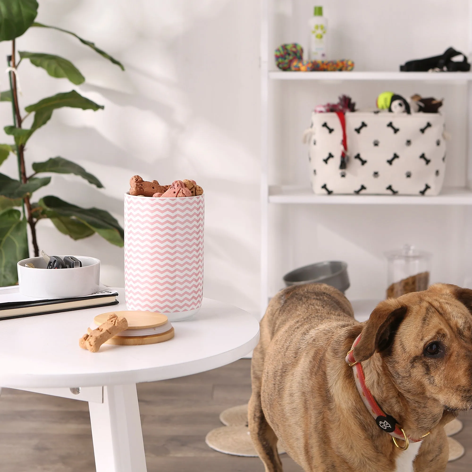 Pink Chevron Ceramic Treat Canister