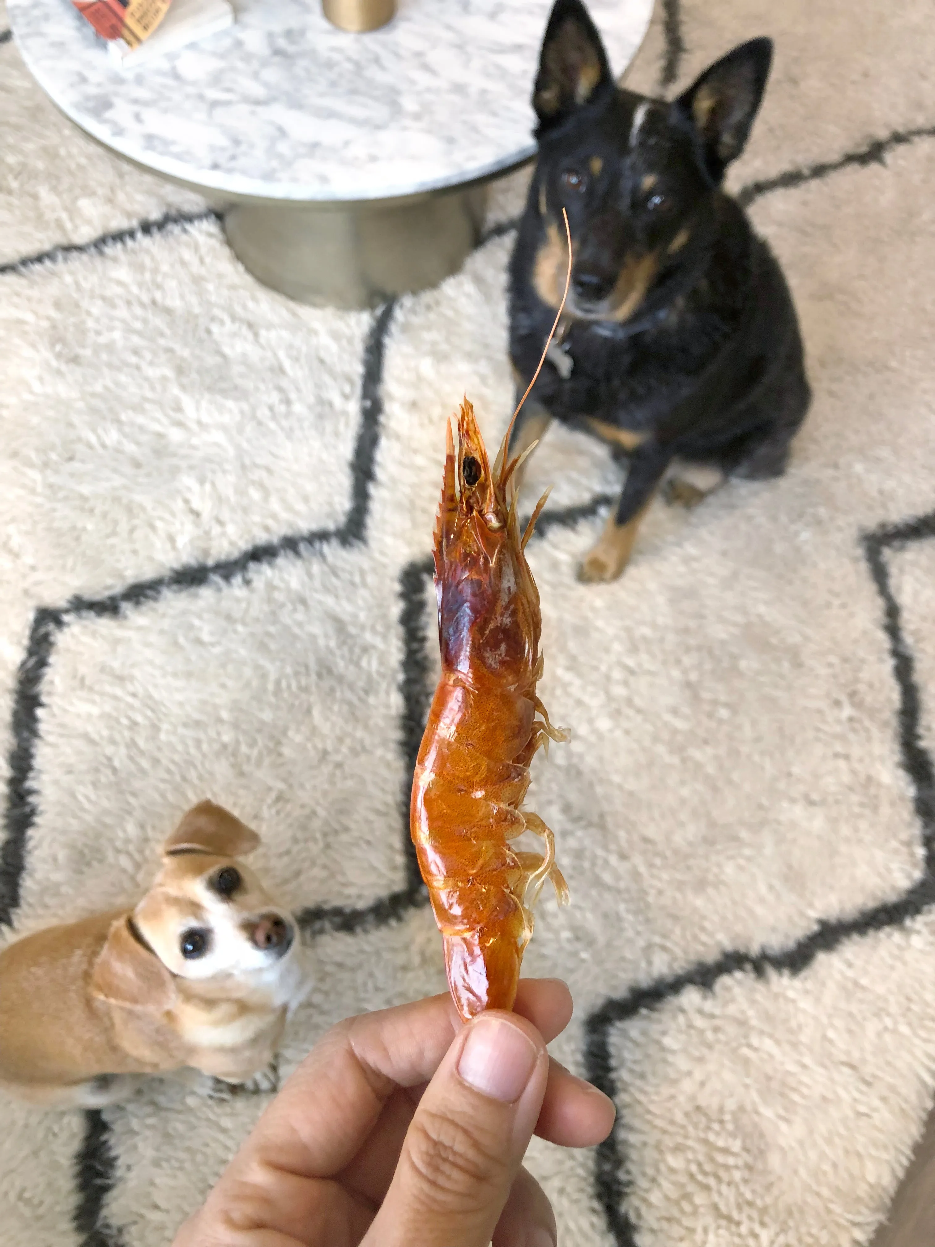 POPPIN' SHRIMP CRACKERS