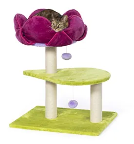 Prevue Hendryx Flower Power