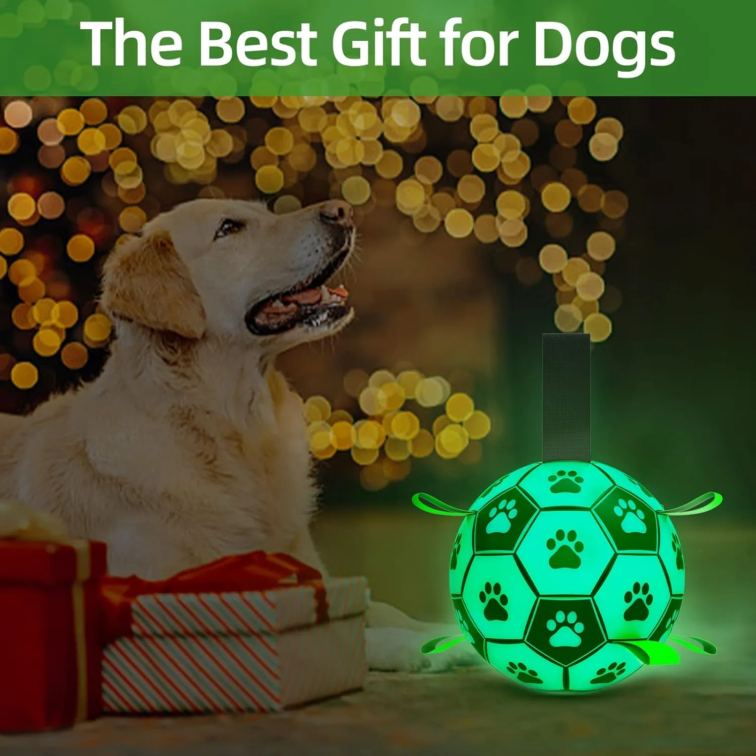 QDAN Glow in The Dark Dog Toys Soccer Ball with Straps, Outdoor Interactive Dog Toys Puppy Birthday Gifts, Dog Tug Water Toy, Light Up Dog Balls for Small & Medium Dogs6 Inch Size 2