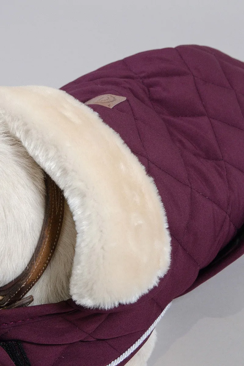 Rocket Dog Coat