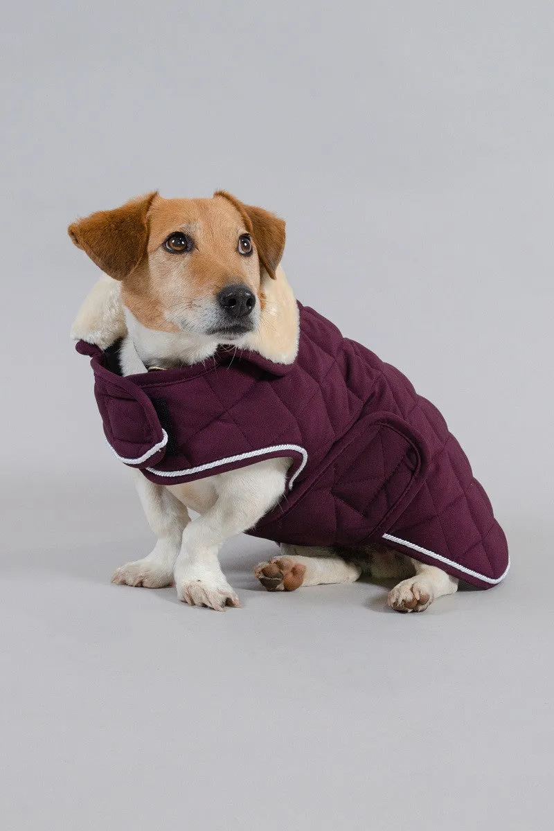 Rocket Dog Coat