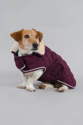 Rocket Dog Coat