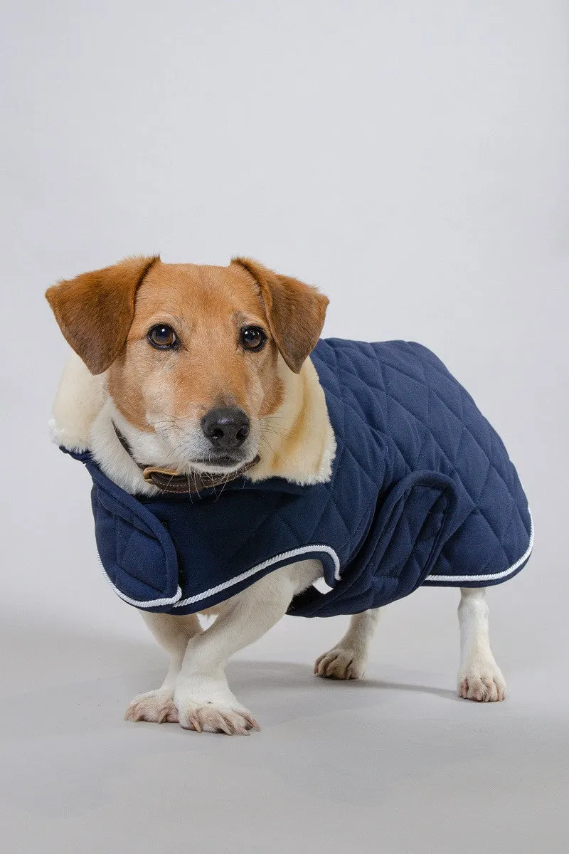 Rocket Dog Coat