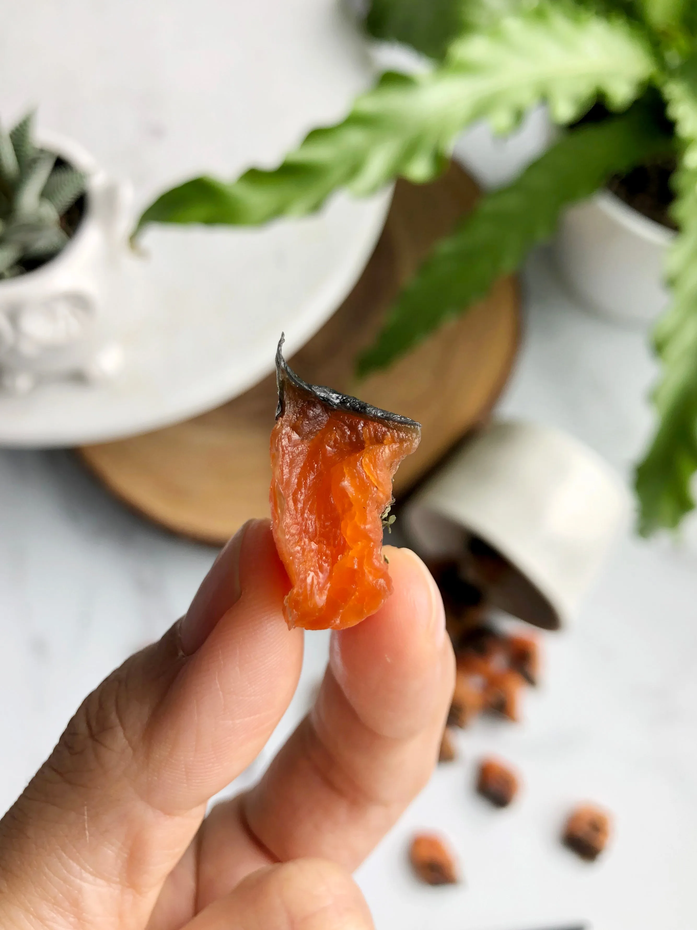 SALMON CUBES (NO MINT)