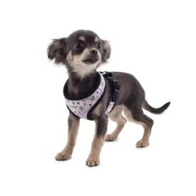 Small Bite Purple and Black Comfort Harness