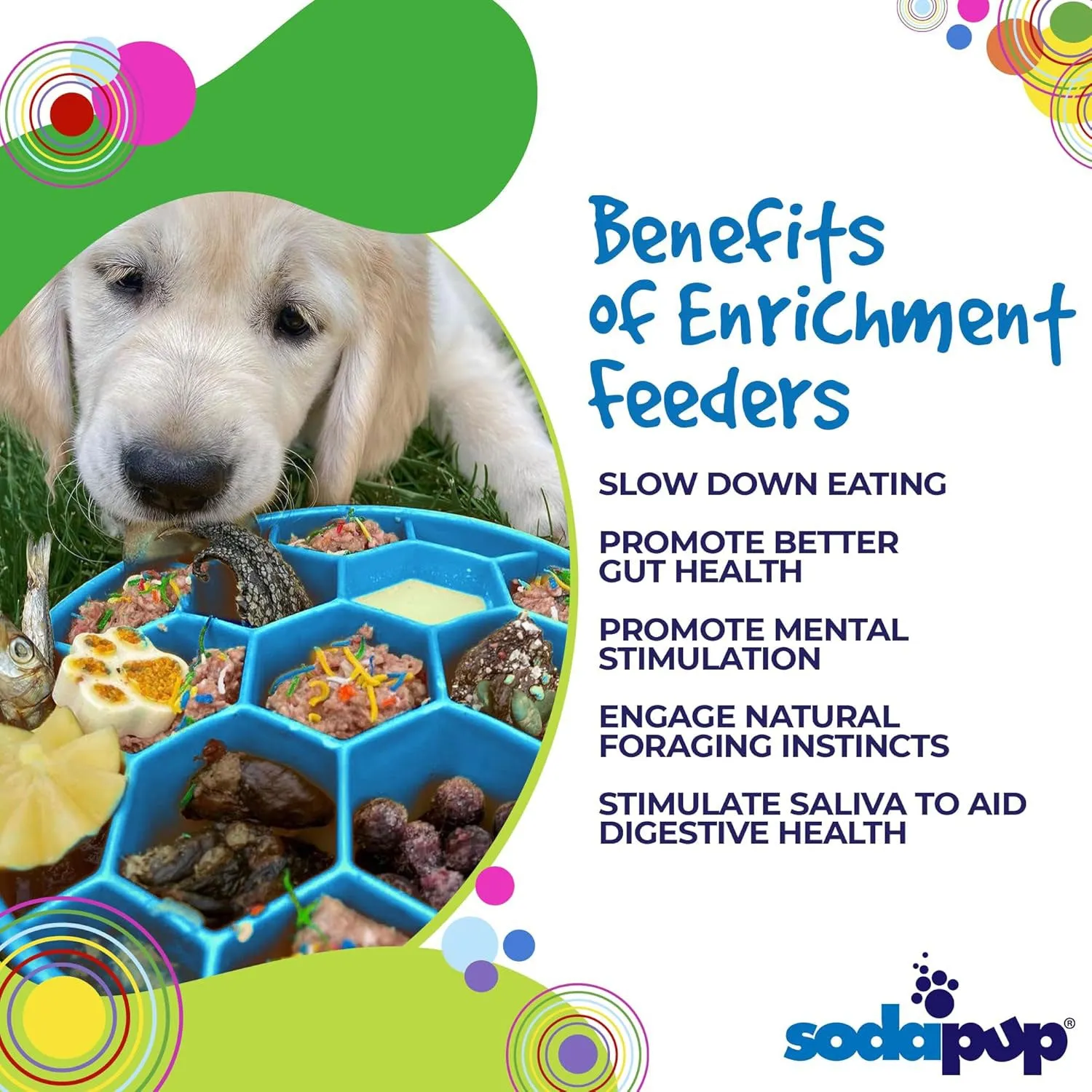 SodaPup Honeycomb Slow Feeder