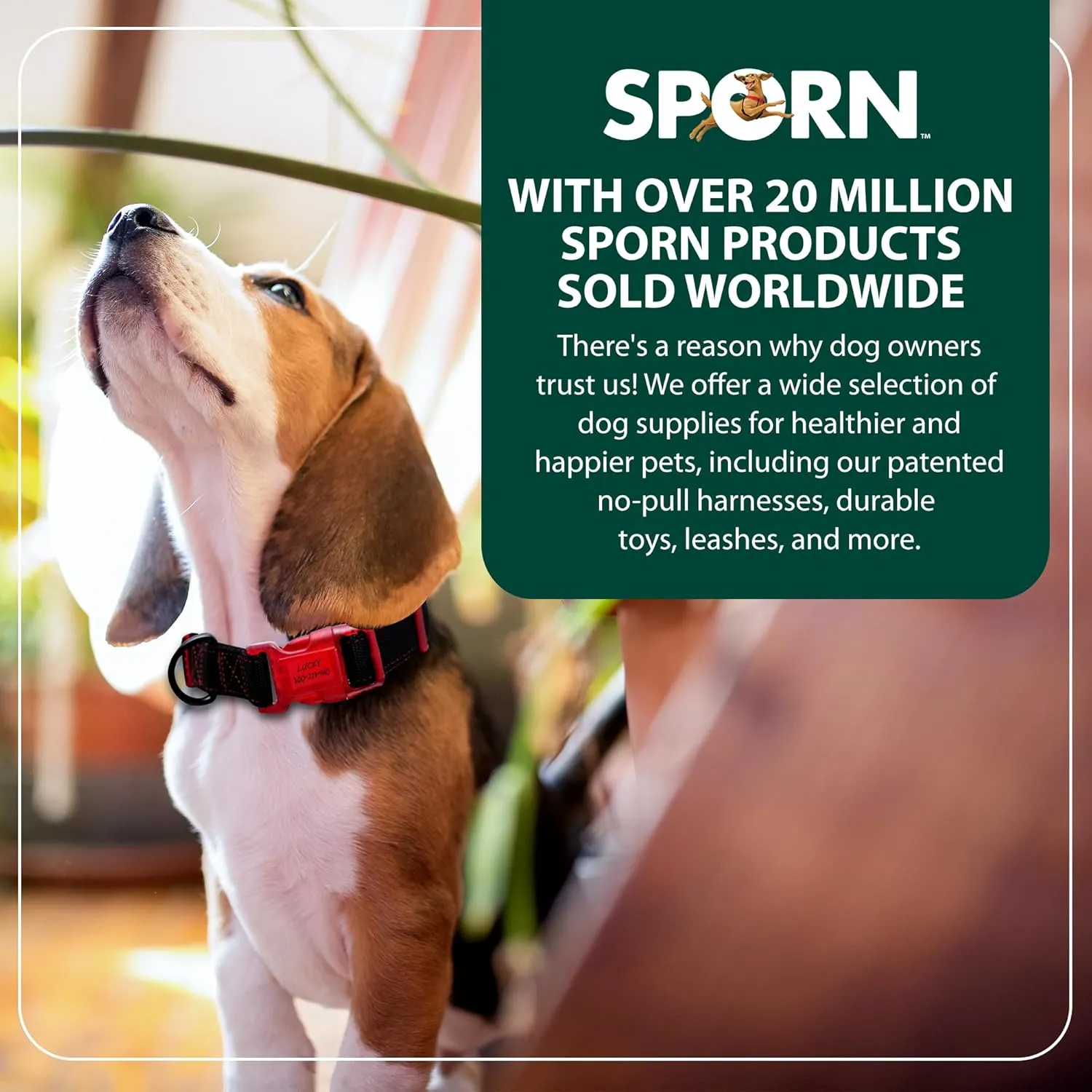 Sporn Dog ID Collar for Large Dogs, Black & Blue Small Dog Collar Made of Nylon with Contrasting Colored Stitiching, Dog Collars for Large Dogs Includes 3 Pcs Prefolded Waterproof Paper