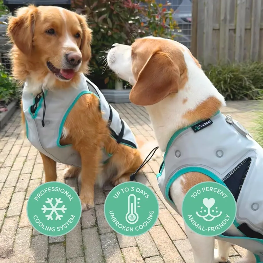 Suitical Dry Cooling Vest for Dogs | Canine Cooling Vest for Hot Weather | Dog Cool Down Jacket | Machine Washable | L | Neck to Tail 24- 30 | Chest 26-34 Around | Neck Circumference 22 | Silver