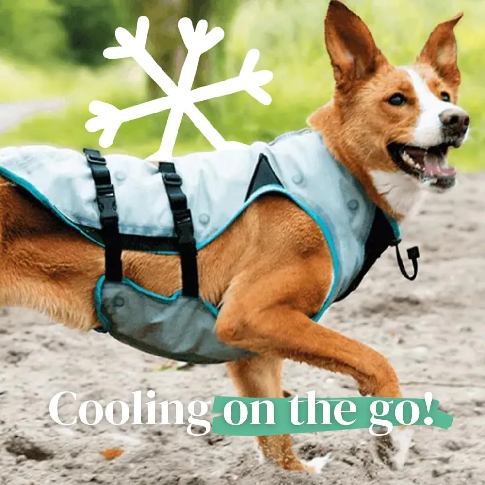 Suitical Dry Cooling Vest for Dogs | Canine Cooling Vest for Hot Weather | Dog Cool Down Jacket | Machine Washable | L | Neck to Tail 24- 30 | Chest 26-34 Around | Neck Circumference 22 | Silver