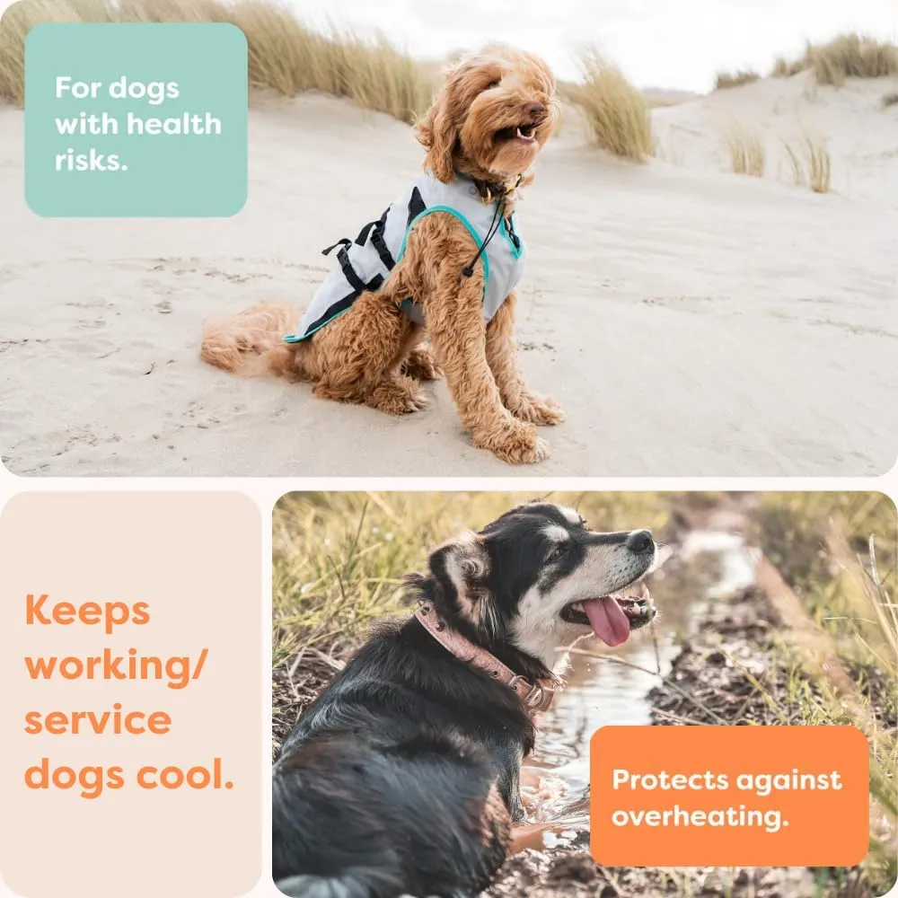Suitical Dry Cooling Vest for Dogs | Canine Cooling Vest for Hot Weather | Dog Cool Down Jacket | Machine Washable | L | Neck to Tail 24- 30 | Chest 26-34 Around | Neck Circumference 22 | Silver