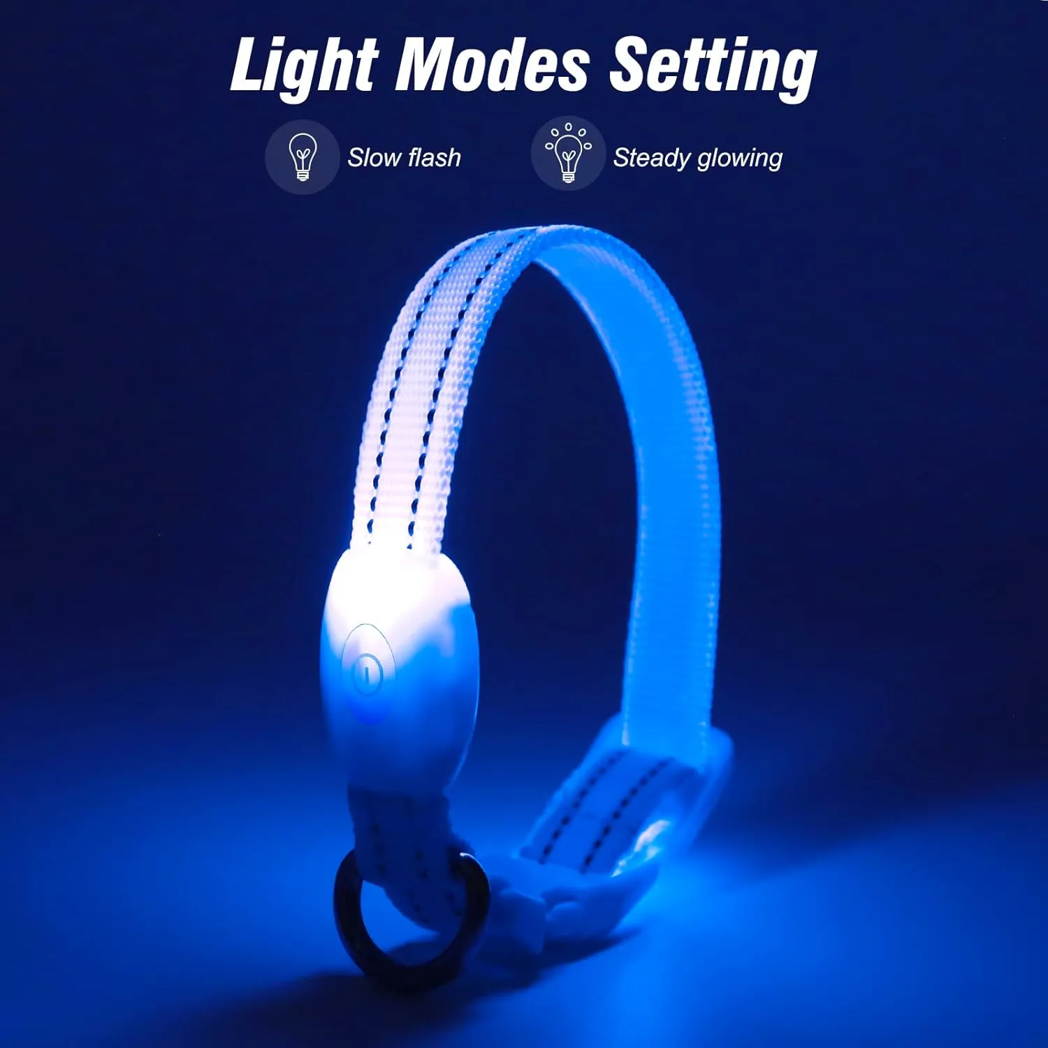 Visinite Light Up Dog Collars for Small Dogs,LED Dog Collar Light Rechargeable,Fully Adjustable Lighted Dog Collar,Glow in The Dark Dog Collars with Dog Lights for Night Walking,Blue