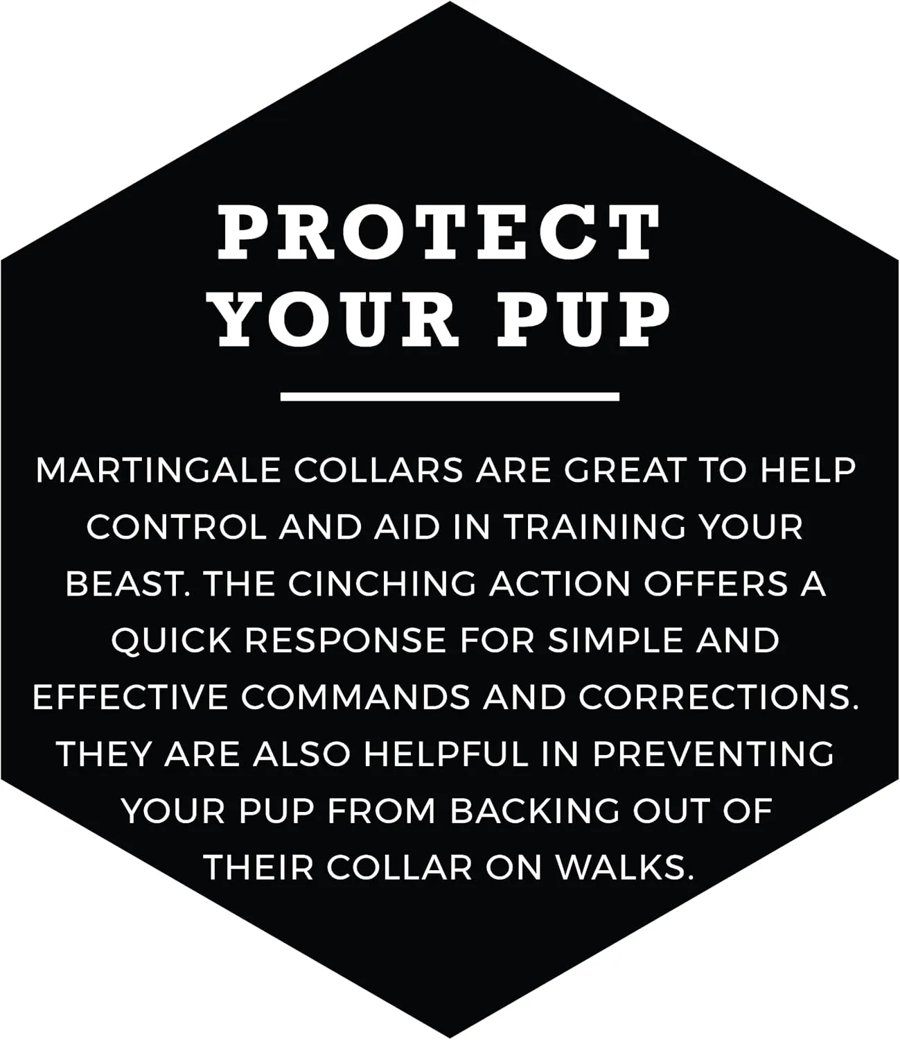 Wolfgang Heavy Duty Martingale Dog Collar with Quick Release Nylon Buckle for Walking & Training, DarkFloral Print, Medium