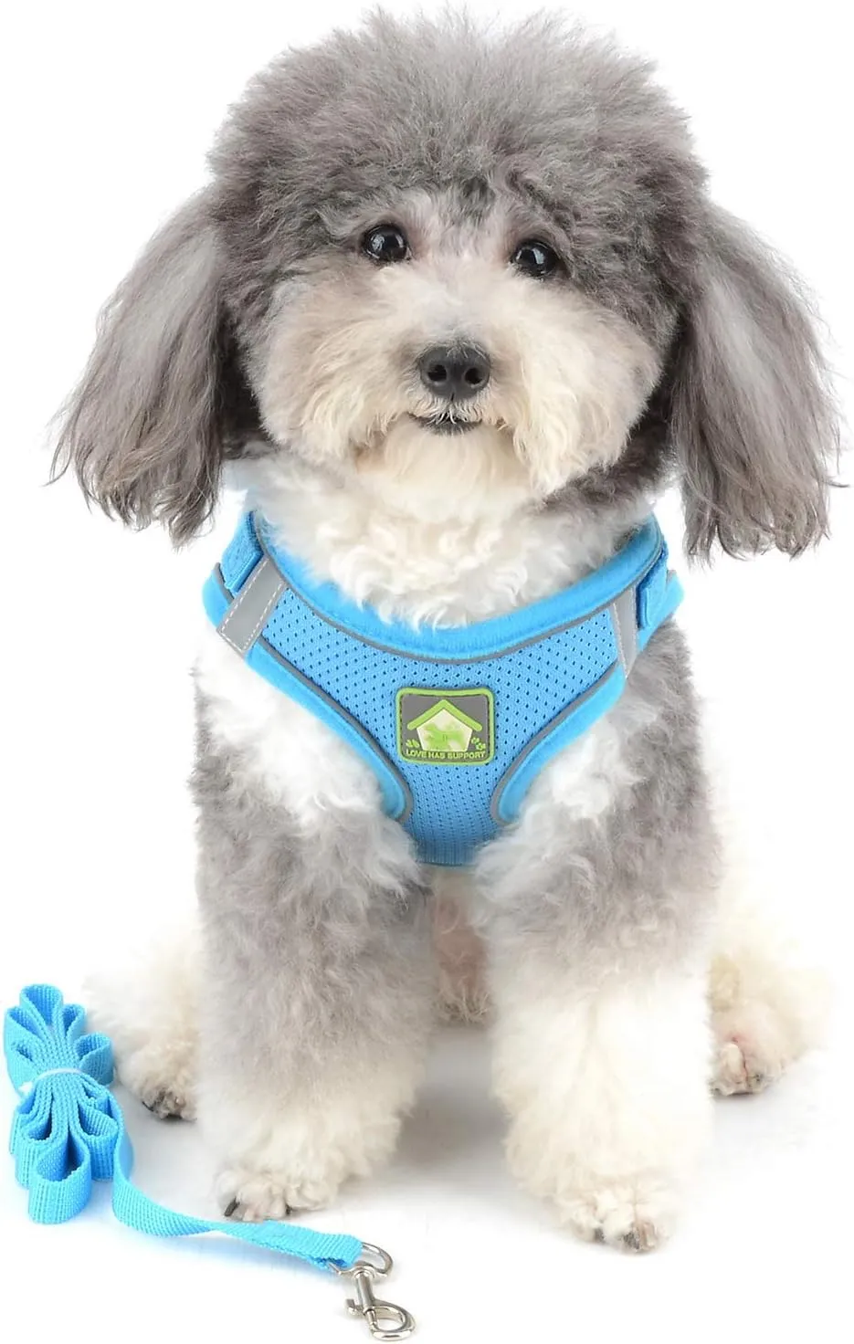 Zunea No Pull Dog Harness and Leash Set for Small Dogs Adjustable Reflective Puppy Vest Harnesses Soft Mesh Step-in Pet Cat Harness Escape Proof for Walking, Bright Colors for Dogs Girl Boy Blue S