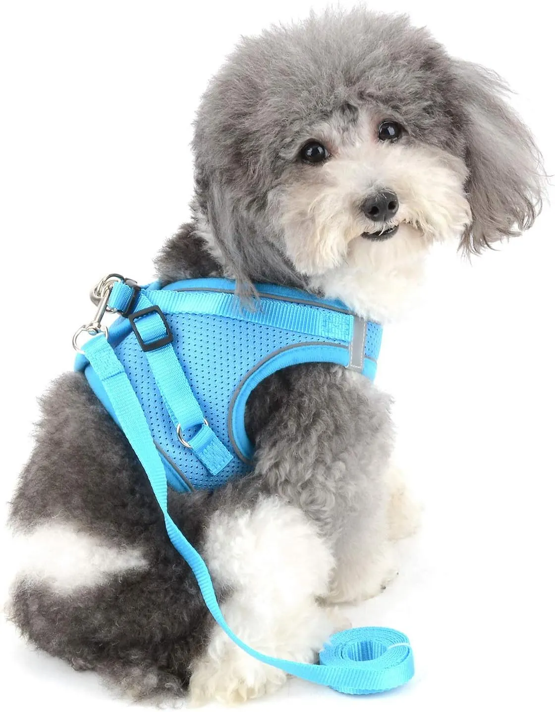 Zunea No Pull Dog Harness and Leash Set for Small Dogs Adjustable Reflective Puppy Vest Harnesses Soft Mesh Step-in Pet Cat Harness Escape Proof for Walking, Bright Colors for Dogs Girl Boy Blue S