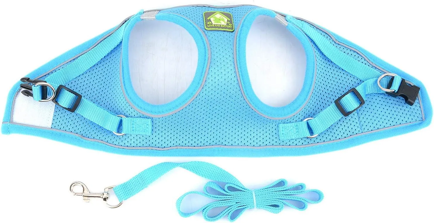 Zunea No Pull Dog Harness and Leash Set for Small Dogs Adjustable Reflective Puppy Vest Harnesses Soft Mesh Step-in Pet Cat Harness Escape Proof for Walking, Bright Colors for Dogs Girl Boy Blue S