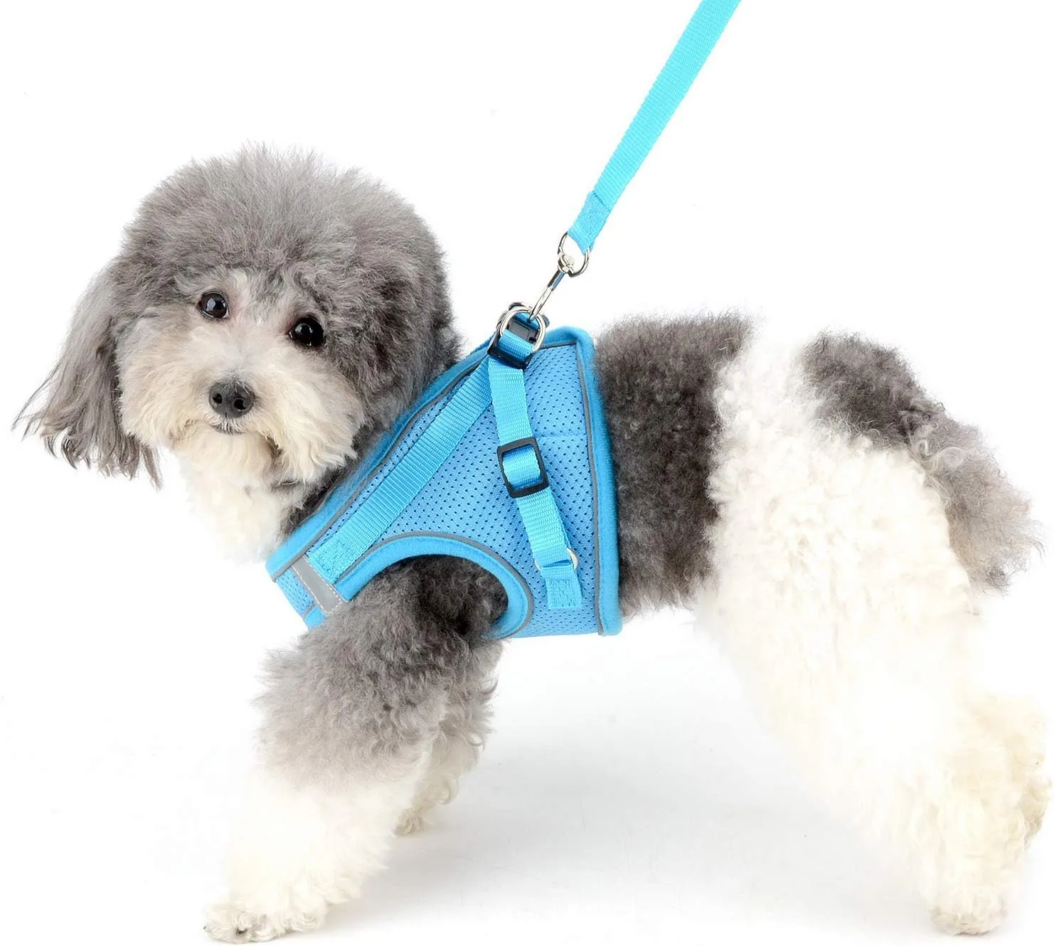 Zunea No Pull Dog Harness and Leash Set for Small Dogs Adjustable Reflective Puppy Vest Harnesses Soft Mesh Step-in Pet Cat Harness Escape Proof for Walking, Bright Colors for Dogs Girl Boy Blue S